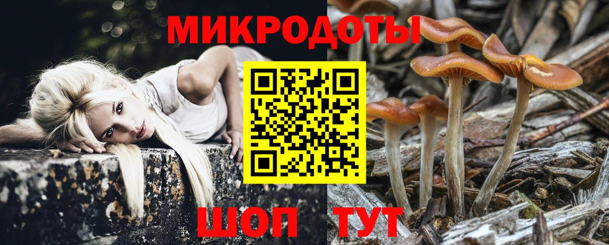 Псилоцибиновые грибы Magic Shrooms Кохма