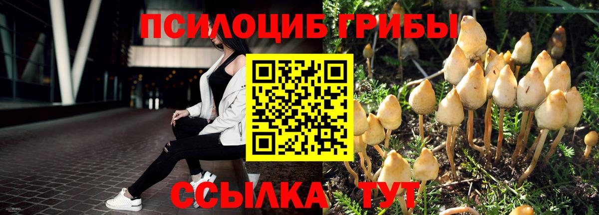 Галлюциногенные грибы мицелий  Вход с VPN  Кохма 